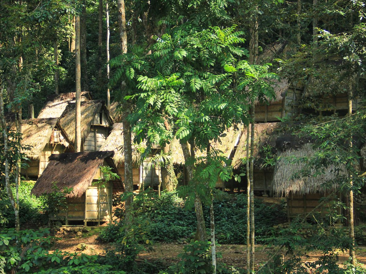 Inner Baduy Banten Tribe