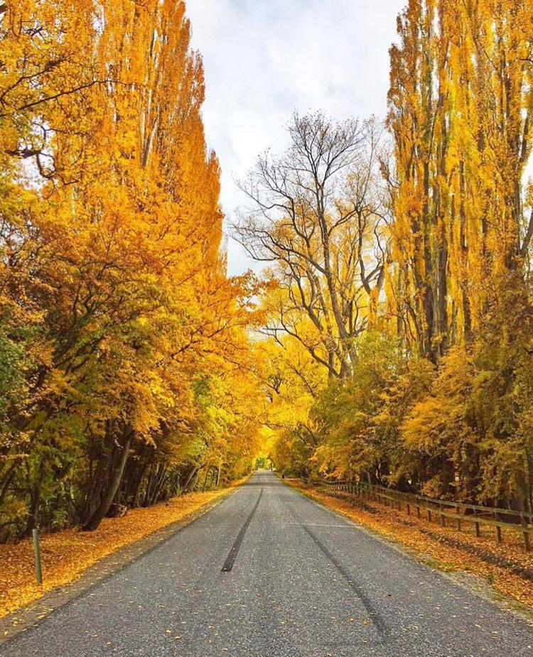 Arrowtown, Queenstown, New Zealand