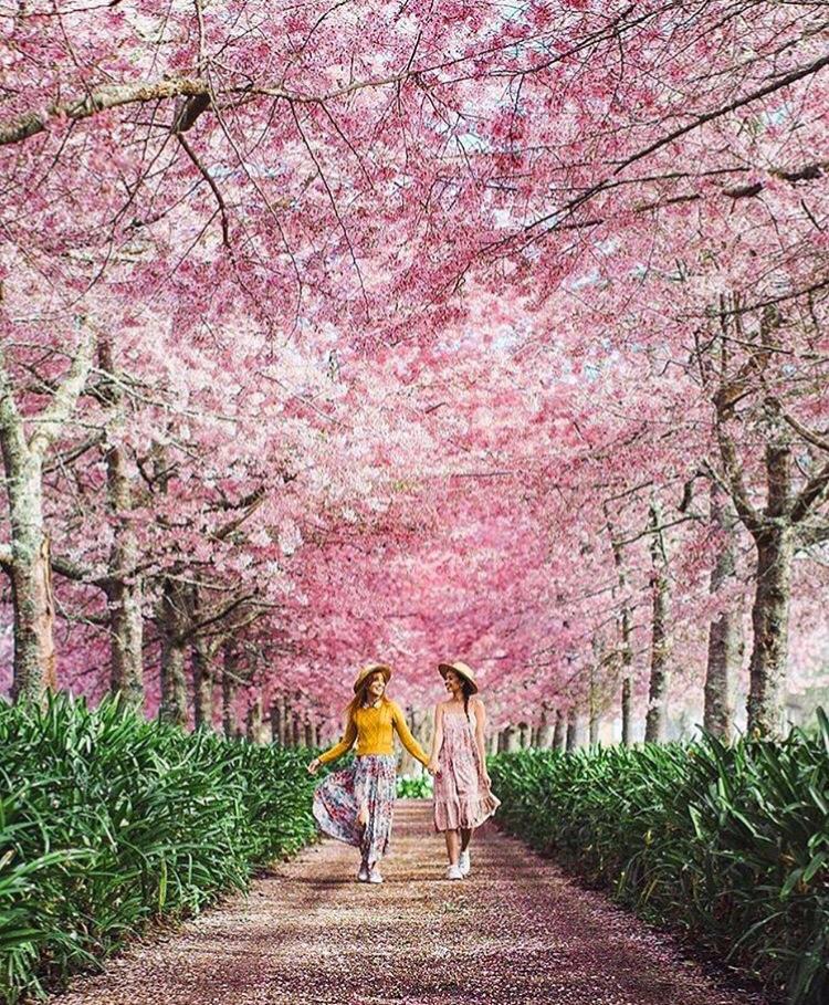 Hamilton Gardens, Hamilton, New Zealand