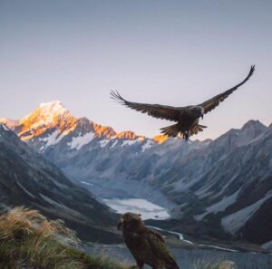 Maqna.id - Sealy Tarns, South Island, New Zealand (Courtesy Picture: @9nth)