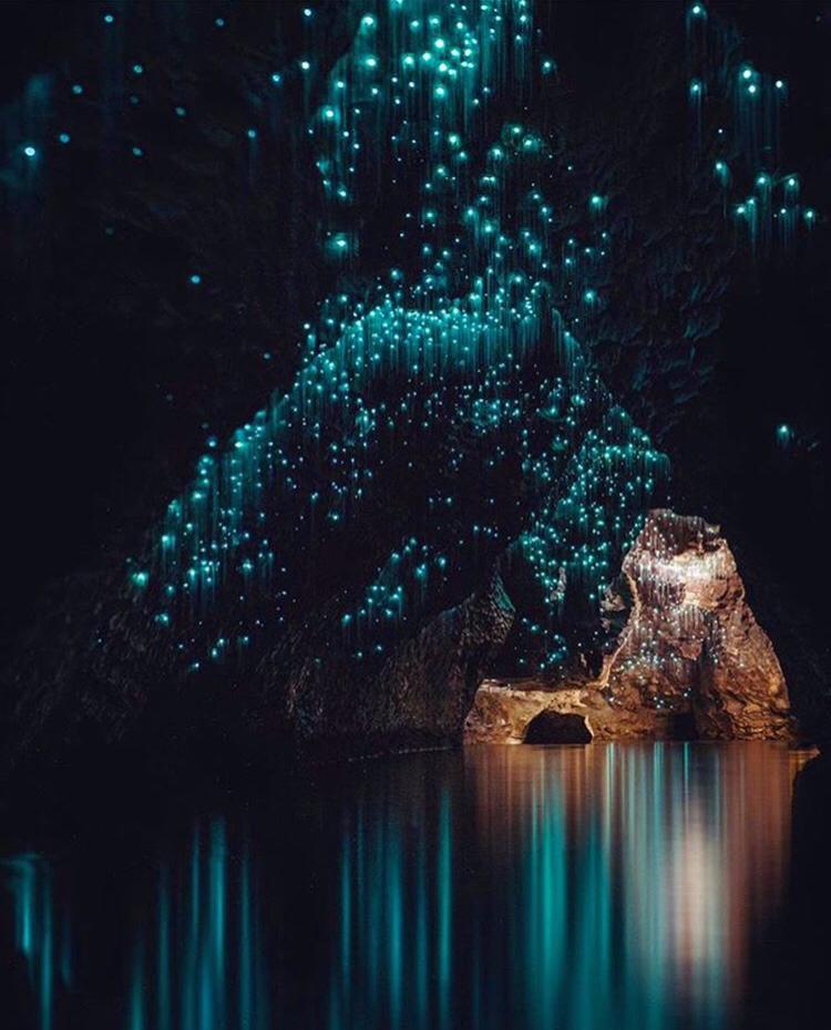 Waitomo Caves, North Island, New Zealand
