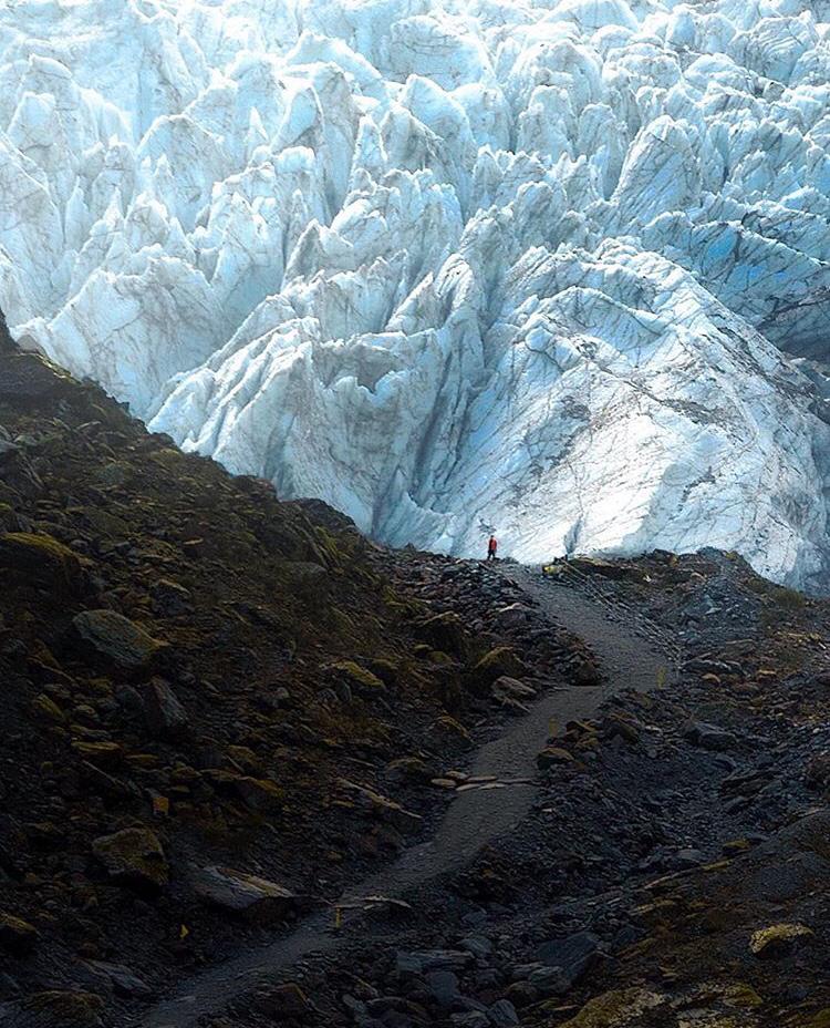 Fox Glacier, South Island, New Zealand